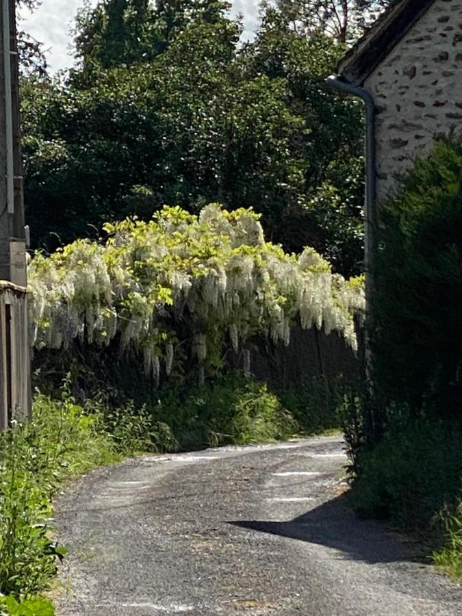Bed and Breakfast Le Moulin Bleu Saint Cyr-sous-Dourdan Exterior foto