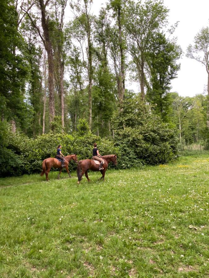 Bed and Breakfast Le Moulin Bleu Saint Cyr-sous-Dourdan Exterior foto